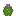 barrel_cactus