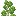 birch_shrub