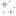 blue_magnolia_flowers