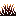 brimsprout