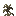 dead_pine_shrub