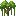 kapok_shrub