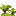 magnolia_shrub