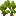 maple_shrub