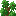 oak_shrub