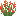 red_lupine