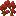 red_maple_shrub