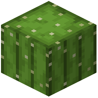 saguaro_cactus