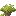 socotra_shrub