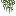 spanish_moss