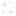 white_magnolia_flowers