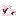 white_magnolia_shrub