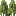 willow_shrub