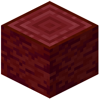 stripped_netherwood_log