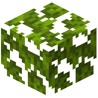 Lime Leaves