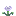 Resonant Lily
