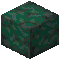 Polished Nephrite