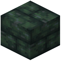 Polished Nephrite Bricks
