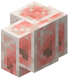 Polished Rock Salt Wall