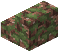 Mossy Cobbled Granite Stairs