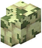 Mossy End Stone Brick Wall