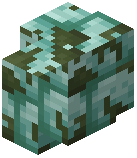 Mossy Prismarine Brick Wall