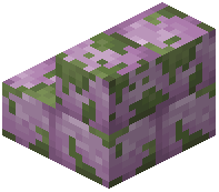 Mossy Purpur Brick Stairs