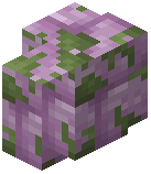 Mossy Purpur Brick Wall