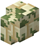 Mossy Sandstone Brick Wall