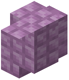 Purpur Paver Wall