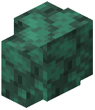 Raw Dark Prismarine Wall