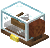 Boat in a Jar