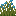 wild_flax