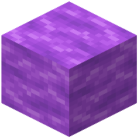 Congealed Enderslime Block