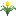 Hipokute Flower