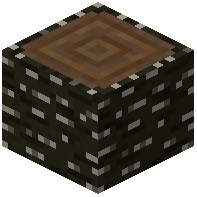 Canopy Tree Log