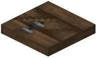 Canopy Trapdoor