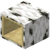 hollow_birch_log