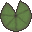 Huge Lily Pad