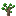 Sickly Twilight Oak Sapling