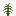 Prehistoric Horsetail