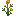 Leefructus
