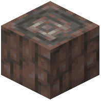 Petrified Log