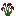 Sarracenia