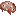 enlightened_brain