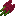 amaranthitem
