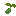 asparagusseeditem