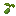 broccoliseeditem