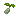 cauliflowerseeditem