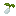cottonseeditem